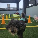 낙원유치원 이미지