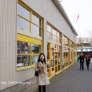 아일랜드아트앤디자인