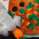 킹스유치원 이미지