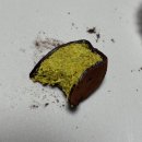 성덕반딧불작은도서관 | [ 강릉 디저트 ] 두쫀쿠 맛집 오느레케이크 내돈내산 후기