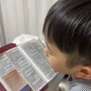 [그림책 특강] 어른, 어린이 책을 읽다 | 자이언트 컬러 성경 특강대용 대만족 내돈내산 후기 어린이 성경 하루 1장 읽기 루틴 :)