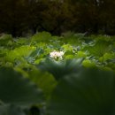 진규농장 이미지