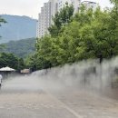 푸른공원 이미지