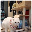 헤어홀릭 이미지