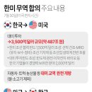 한미 관세협상 타결… 불확실성 해소에 안도·우려 교차 이미지