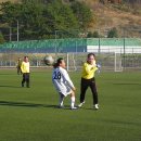 평림구장 이미지