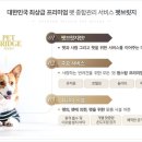 펫브릿지 이미지