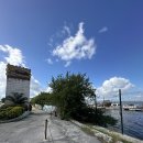 호텔정글(jungle) | 칸쿤 호텔존 액티비티 알렉스 정글투어 후기 시크릿더바인에서 가는 방법 준비물, 팁