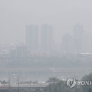 먼지도둑 연합뉴스