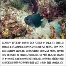 이어도수산