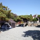 예그리나 이미지