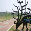 DMZ 평화의 길 24코스 이미지