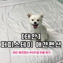 퍼피스테이 이미지