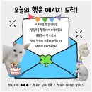 부산광역시의료원 한방병원 | 택시 교통사고 대인접수 한방병원 통원치료 합의금