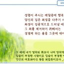 일일예화말씀묵상 2023년 6월 28일 (목) - 순간적인 불빛 이미지