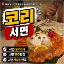 서면 이자카야 코리 첫 방문 후기 가성비 좋은 술집