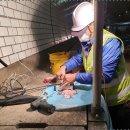 태영농장 이미지