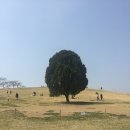 슬기나공원 이미지