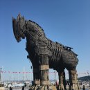 트로이샵 이미지