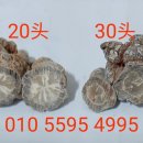 삼칠농장 이미지