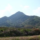 병풍지맥(전남 담양 수북리-광주 송정리 도산동) 이미지