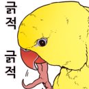 바르미샤브샤브&칼국수