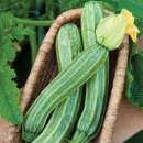 옥산1어린이공원 이미지