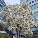 의료법인 수성의료재단 이미지