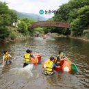 가곡초등학교(대곡분교) 이미지