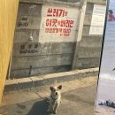 명무 | 회피형 특징과 고치는 방법 책 추천+살짝 고친 후기