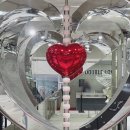 다이아몬독 | 990원 사주 어플 후기 + 나에 대해 알아가기