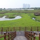 대장천생태하천 이미지