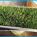 액비골(2) | 2025. 1월 고추재배 기술정보