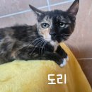 우리도리