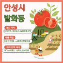 안성명품공인중개사사무소 이미지
