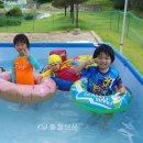 태봉초병설유치원 이미지