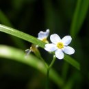 미남미녀 이미지