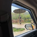 드림벨리 | 6세 4세와 함께한 에버랜드 드림투어 오후권 후기(사파리 스페셜투어, 로스트밸리 스페셜투어)