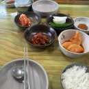 제주버들못