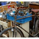 개미환경자원 이미지