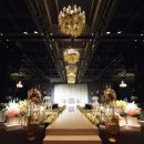 라온제나 이미지