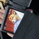 라이키피자치킨 중랑점 이미지