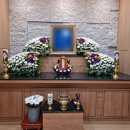 마리아성모요양병원 이미지