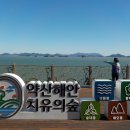 보름만에 다시 찾은 완도 약산 해안 치유숲 숲내음길 걷기