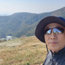 YOLO갈맷길 8코스 이미지