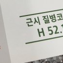 마이오 이미지