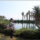 서귀포KAL호텔 이미지