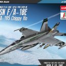 USN F/A-18E VFA-195 "Chippy Ho" #12318 [1/48 th ACADEMY MADE IN KOREA] PT1 이미지