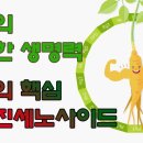 산삼효능의 비밀! 강인한 생명력과 '희귀진세노사이드'.. [산삼줄기세포 이야기] 이미지