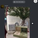 주정차26 | W09. 대구 웨딩 밴드 "수누 주얼리" 수령 후기, 다이아몬드 등급 목걸이 상담, 추천인 할인 코드 공유